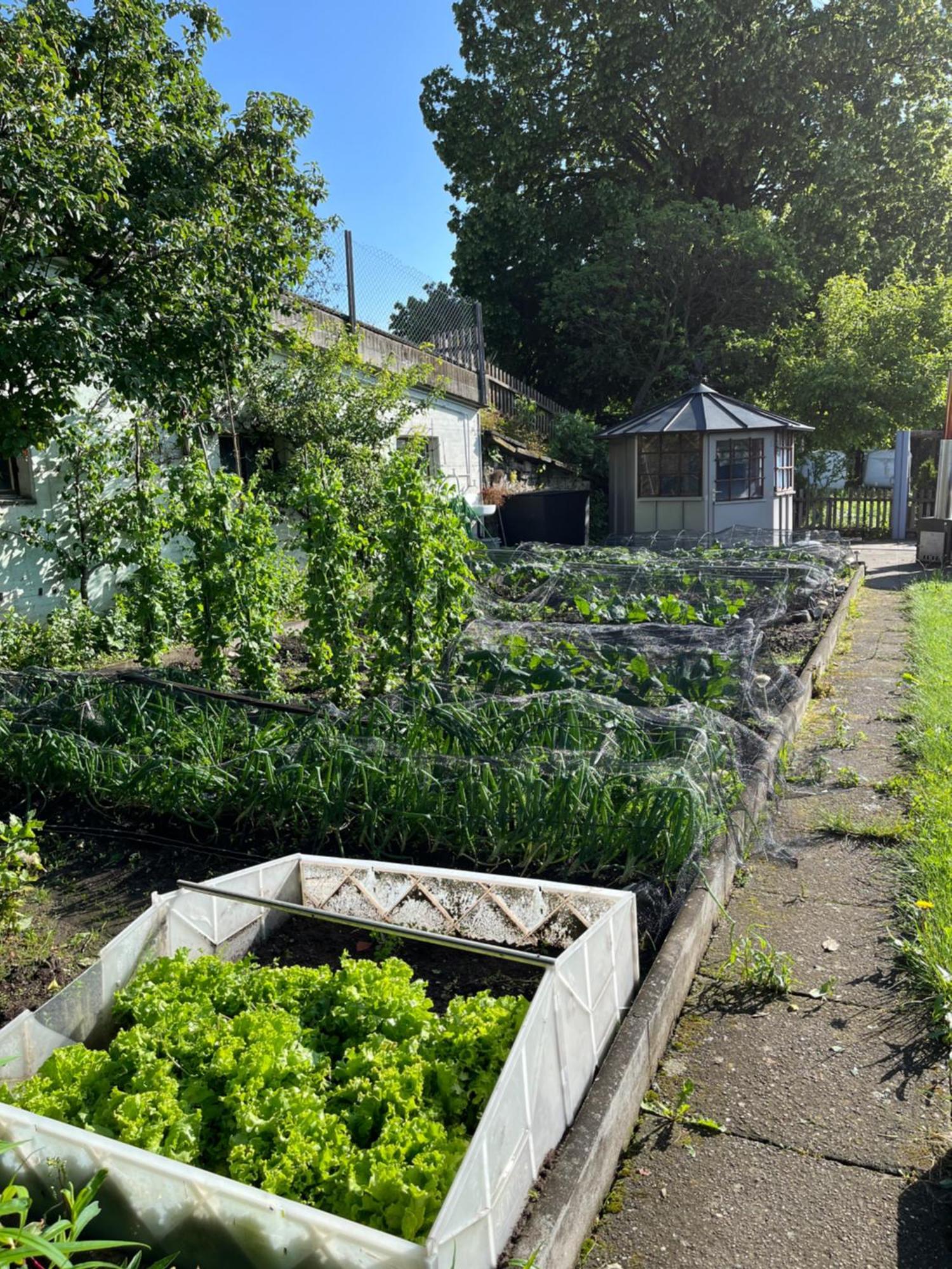 Ferienwohnung Auf Bauernhof Mit Hotpot Und Sauna Sumiswald Esterno foto